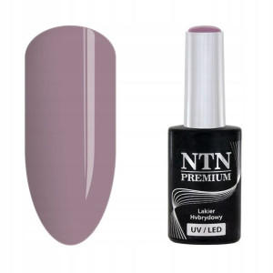 NTN Lakier hybrydowy Premium 121 5g do paznokci