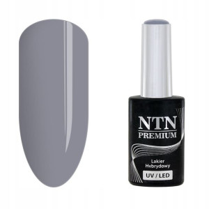 NTN Lakier hybrydowy Premium 57 Day Dreaming Colle