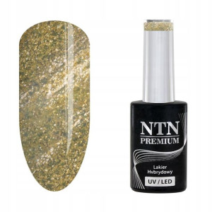 NTN Lakier hybrydowy Premium 170 Celebration Collection 5g