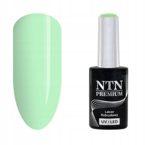 NTN Lakier hybrydowy Premium 138 5g mint mięta