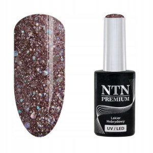 NTN Lakier hybrydowy Premium 89 Multicolor Collect
