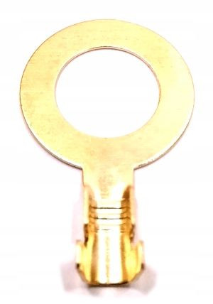 Konektor Oczkowy Końcówka Oczko Oczkowa M10 100szt