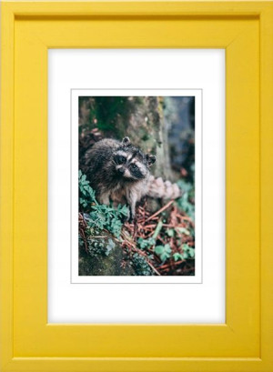 Ramka Na Zdjęcia Żółta Rama 50x70 Cm