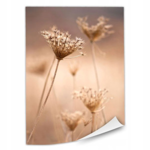 1x Plakat Beżowe Dzikie Kwiaty 20x30