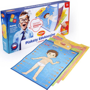 Dumel Edukacyjne Plakaty Człowiek Anatomia Interaktywny 62395