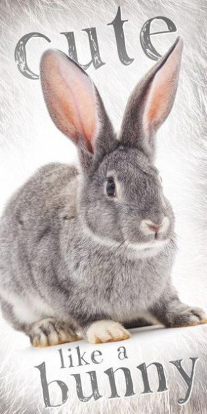 Ręcznik 100% bawełniany 140x70cm Królik cute like a bunny