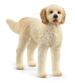 Slh 13939 Goldendoodle 62557