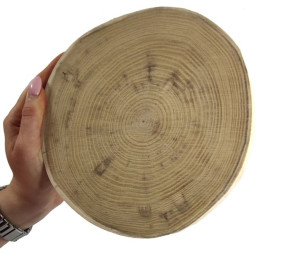 Okorowany Plaster Akacji 15-20 cm gr. 2 cm Szlifowany Drewno akacjowe
