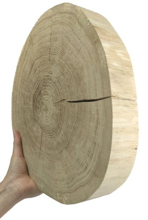 Okorowany Plaster Dębu 25-30 cm gr. 6 cm Szlifowany Drewno dębowe