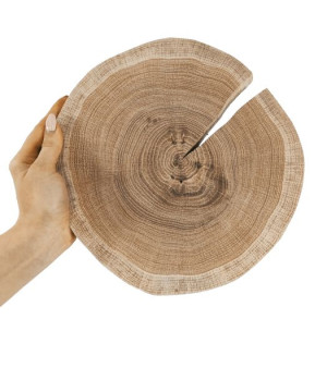 Okorowany Plaster Dębu 15-20 cm gr. 2 cm Szlifowany Drewno dębowe