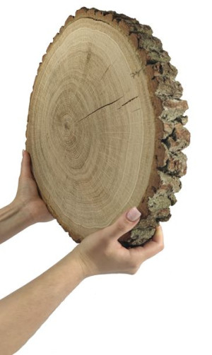 Plaster Dębu 40-45 cm gr. 6 cm Szlifowany z Korą Drewno dębowe