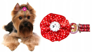 Spinka Kokardka Gumka Mucha Dla Psa Yorka Shih Tzu