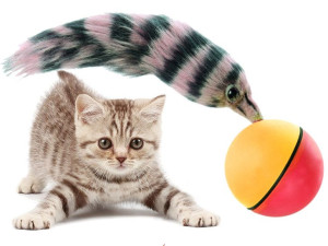Zabawka Biegająca Fretka Weazel Ball Dla Kota Psa