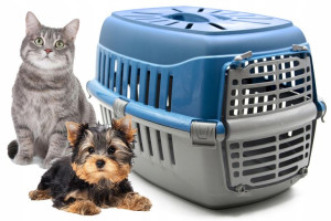 Transporter Dla Psa Kota Królika Klatka Kojec Box