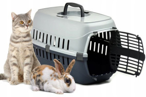 Transporter Dla Kota Psa Klatka Kojec Box