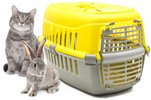 Transporter Dla Psa Kota Królika Klatka Kojec Box