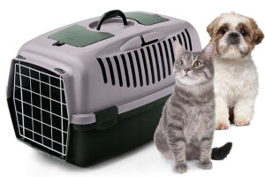 Transporter Dla Psa Kota Królika Klatka Kojec Box