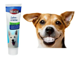 Trixie Pasta Miętowa Do Mycia Zębów Dla Psa Psów