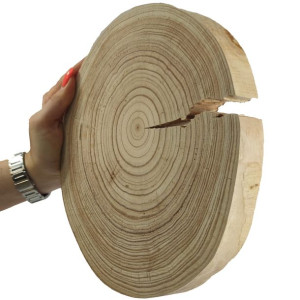Okorowany Plaster Modrzewia 25-30cm gr. 3 cm Szlifowany Drewno modrzewiowe