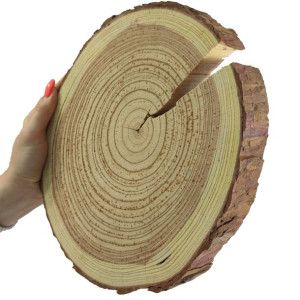 Plaster Modrzewia 20-25 cm gr. 3 cm Szlifowany z Korą Drewno modrzewiowe