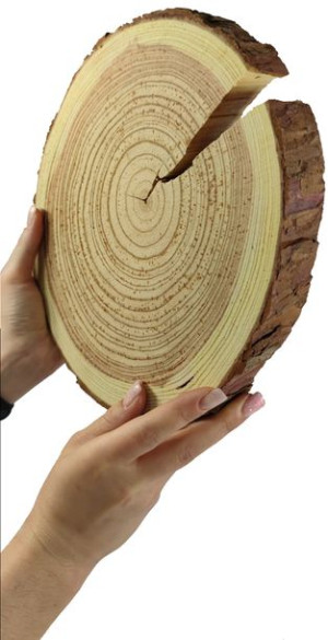 Plaster Modrzewia 25-30 cm gr. 3 cm Szlifowany z Korą Drewno modrzewiowe