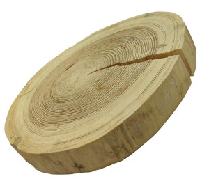 Okorowany Plaster Sosny 35-40 cm gr. 5 cm Szlifowany Drewno sosnowe Surowy