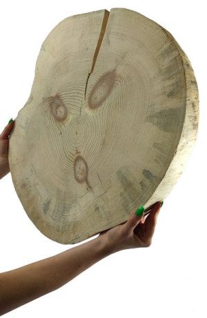 Okorowany Plaster Sosny 45-50 cm gr. 4,5 cm Szlifowany Drewno sosnowe Surow