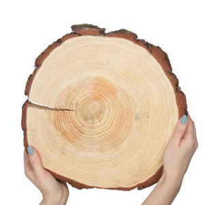 Plaster Sosny 30-35 cm gr. 5 cm Szlifowany z Korą Drewno sosnowe Surowy