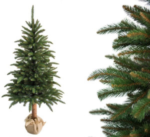 Choinka na pniu 220cm Świerk Syberyjski