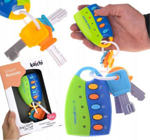 Pilot Z Kluczykami Kluczyki Do Auta Alarm Smart
