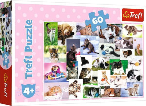 Puzzle Koci świat 60 elementów
