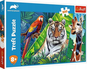 Puzzle 300 elementów Niesamowite zwierzęta