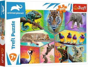 Trefl Puzzle 200 W egzotycznym świecie