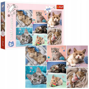 Trefl Puzzle 100 W kocim świecie