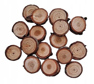 Plastry krążki modrzew 1,5-3 cm 50 szt