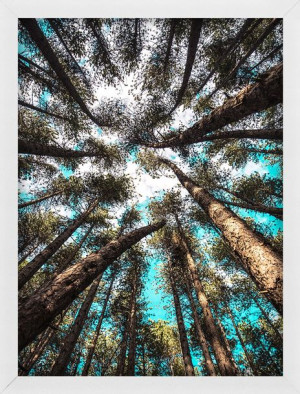 Rama Na Zdjęcia Biała A4 21x29,7 Cm Foto Ramka