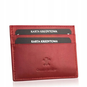 Skórzane Etui Karty Dokumenty Skóra Betlewski Małe