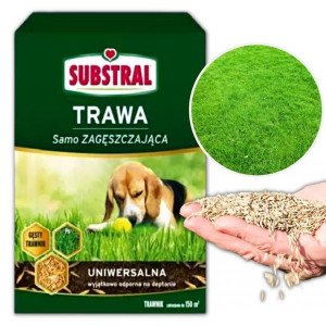 Trawa samo zagęszczająca Substral uniwersalna 3 kg