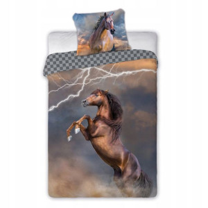Pościel Młodzieżowa 160x200 2cz Horses 003 Piorun