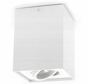 Oprawa NATYNKOWA ruchoma spot GU10 LED KOLORY