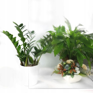 Okleina Folia Ozdobna Na Okno Długość 490cm DIY