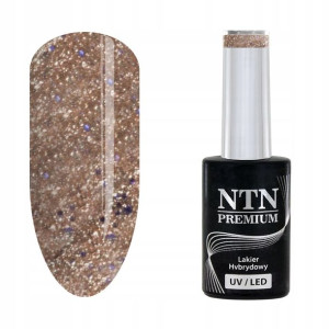 Ntn Lakier hybrydowy Premium 166 Celebration 5g