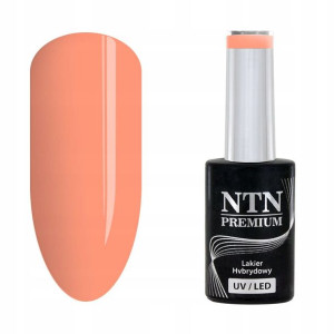 NTN Lakier hybrydowy Premium 152 Delight Sorbet Co