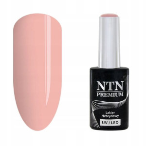 NTN Lakier hybrydowy Premium 59 Day Dreaming Colle