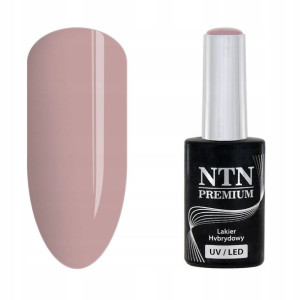 NTN Lakier hybrydowy Premium 60 Day Dreaming Colle
