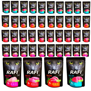 RAFI CAT karma kota mix 4 smaków saszetka 40x100g