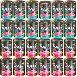 D. NOTECI Mokra karma KOTA Rafi mix smaków 400 x24