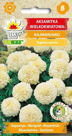 Aksamitka wielkokwiatowa Kilimanjaro 0,3g