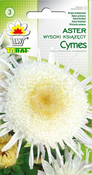 Aster książęcy wysoki Cymes 1g