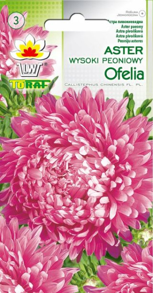 Aster peoniowy wysoki Ofelia 1g